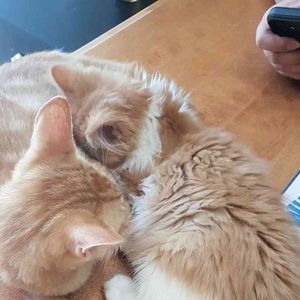 Meet your Posher, Leah